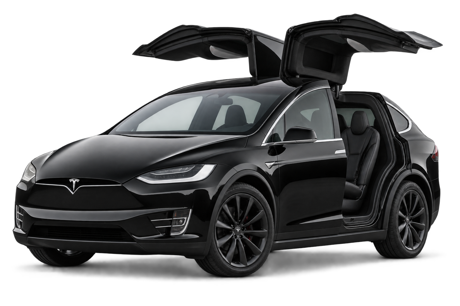 Tesla Model X private transfer vehicle
